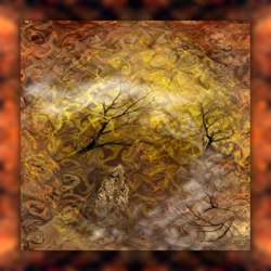 Enflamm�s