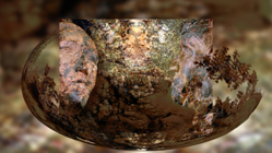 Conversation Silencieuse