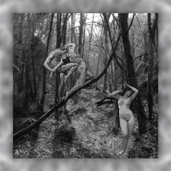 Hommes jouant dans les bois