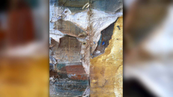 L'Homme à la Palombe