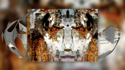 Portrait au cailllou