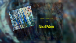 nanozoll particules