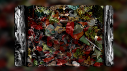 entre pierres et fleur